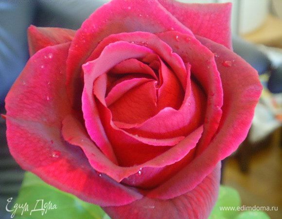 Хорошего вам дня)))