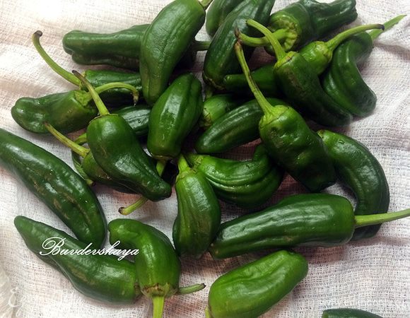 Выложить перцы на полотенце и тщательно обсушить.