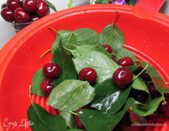 Вишню, листья вишни помыть.