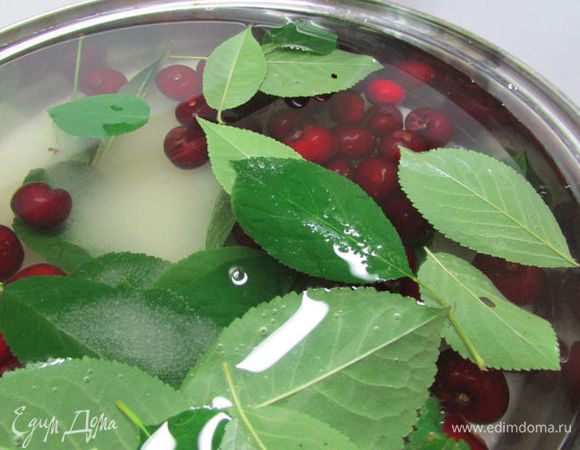 Залить водой, поставить на огонь, довести до кипения, кипятить 15 мин на медленном огне. 