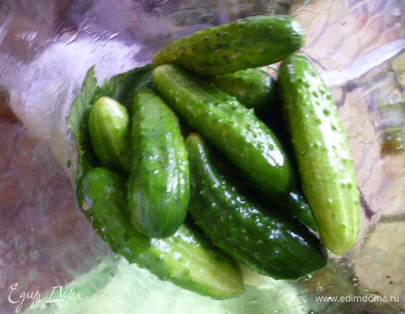 Сверху горизонтально выкладываем чистые, хорошо вымытые маленькие огурцы.