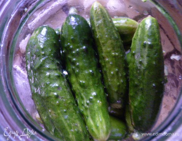 Сверху снова слой целых огурцов.