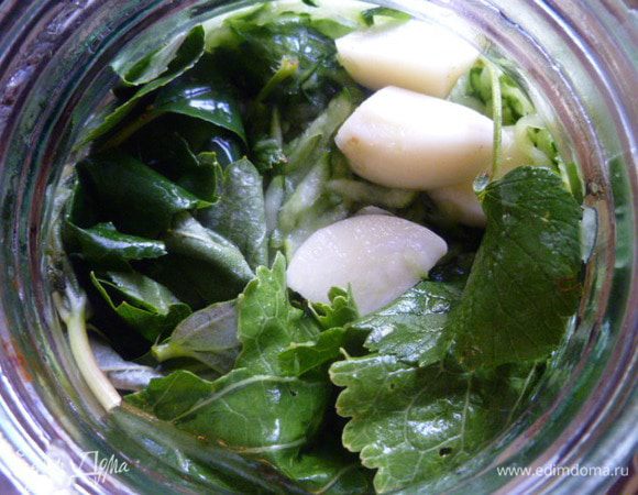 Затем укроп, сверху листик хрена, сверху остальные листья и чеснок.
Сверху все закрыть перетертой массой с соком. Хорошо утрамбовать. И сверху налить сока.