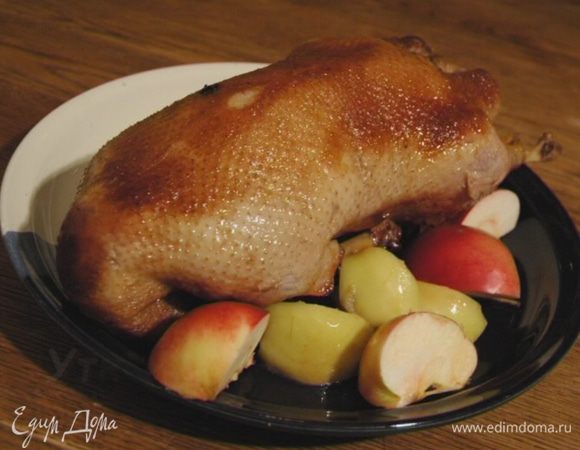 Подавать с брусничным вареньем.