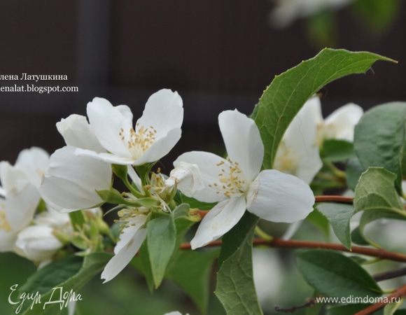 Для настроения!!!!!!!!!