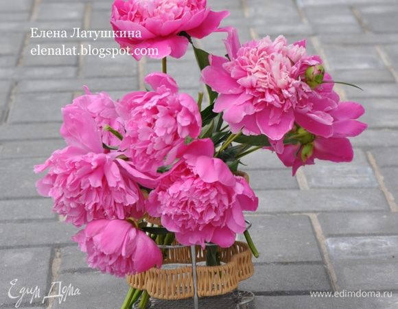 Для настроения!!!!!!!!!!!!!!!!!!