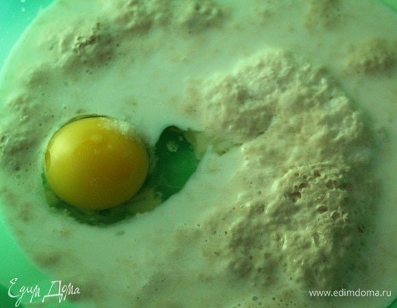 Подошедшую опару выливаем в глубокую миску, добавляем к ней яйцо, соль и просеянную муку постепенно.