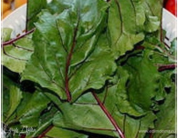 Но про свеклу как-нибудь потом, а вот ботва…. Про ботву, т.е. куда она пошла – стоит рассказать. 
Для начала ботву мы помыли.
