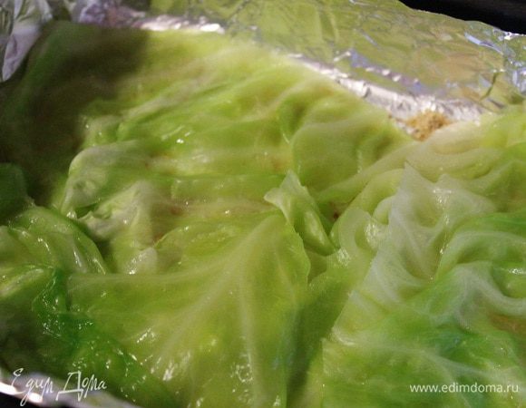 Первым слоем выкладываем листья капусты..