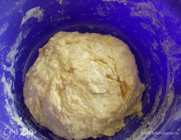 Просеиваем муку, добавляем сахар, яйца, растопленное сливочное масло. соль и опару. Замешиваем тесто, накрываем полотенцем и ставим в теплое место на 2-3 часа.