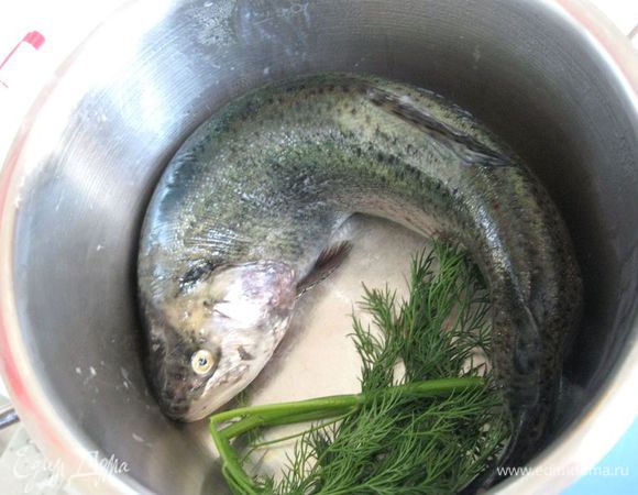 Форель помыть, снять чешую, удалить жабры, выпотрошить. Помыть снаружи и изнутри. Промокнуть полотенцем или салфеткой. Чтобы она приобрела нужную форму, отправила ее в холодильник на сутки  в кастрюле подходящего диаметра, чтобы она приобрела  выгнутую форму (кастрюля  с толстым дном).