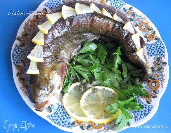 При подаче посыпать зеленью, украсить лимоном.  Для глаз использовала каперсы и перец горошком.  Сопроводить блюдо лавашем, зеленью и свежими овощами.

