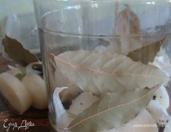 Лук порезать кольцами, уложить в на дно вымытой банки. Посыпать горошком черного перца. Положить веточки укропа.