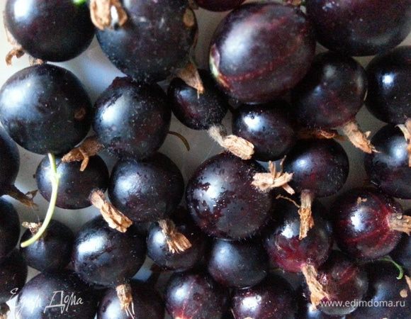 А вот так выглядит крыжовник "Йошта". Ягоды очень похожи на черную смородину, правда? Но я совсем мало их добавила в соус – побоялась, чтобы не изменился вкус соуса.