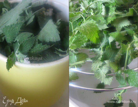 Отмерить стаканом ( 250 гр) два с половиной  стакана , слегка утрамбовывая листья.
Листья мяты тщательно промыть, обсушить.