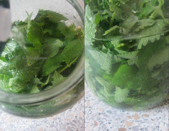 Мяту уложить в банку и залить водкой.
Настаивать две недели, в темном месте, периодически встряхивая банку.
