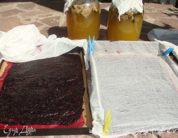 Накрыть марлей и на солнце,можно и на балкон,что бы был ветерок и солнце,марля от насекомых и пыли. Так она сохнет 2 дня, смотрим периодически поднимаем края и переворачиваем и на др.стороне тоже должна просушиться. На фото я уже перевернула видно окрас.
В итоге у меня 3 пласта получилось,кол -во смородины указала примерное в смородине, но это не важно распределять надо тонко как описала.