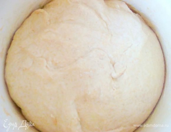 Развести дрожжи в теплой воде с сахаром, дать настояться, добавить растительное масло, просеянную муку и соль. Замесить тесто. 