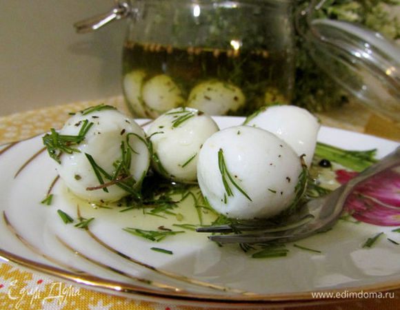 Заливаем маринадом и отправляем в холодильник на сутки. Всё! Маринованные яйца готовы!

P.S: Чем дольше маринуются яйца, тем они вкуснее.