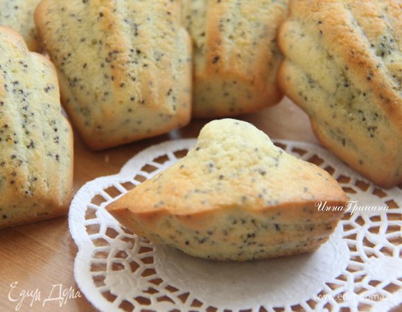 "Французы свято верят, что у хорошего мадлена должна быть вот такая горочка, они называют её "соском", и она свидетельствует о том, что печенье идеально!"