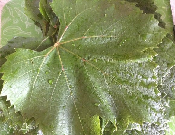 Листья винограда промыть залить кипятком на 10 минут.