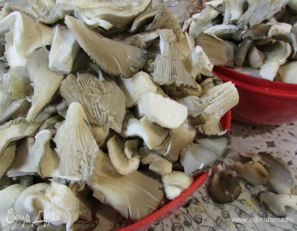 Грибы почистить, нарезать кусочками, только не мельчить. Отварить в подсоленной воде (когда вода закипит, добавить грибы и варить минут 5-7). Откинуть на дуршлаг, дать стечь лишней жидкости. 