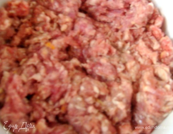 Фарш предварительно немного замариновать с солью и перцем, можно добавить приправы по вкусу. Смешать с фасолью.