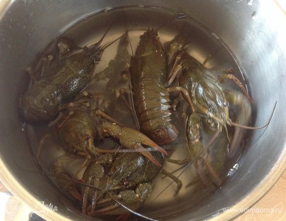 Перед тем, как готовить я хорошо промываю раков под проточной водой. Если раки пахнут тиной, залейте их на пол часа нарзаном.