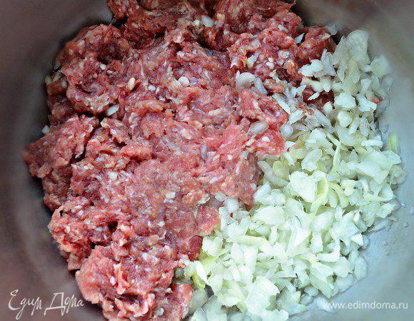 Луковицу мелко порубить. Половину подмешать к фаршу, посолить, приправить перцем и хорошо перемешать.