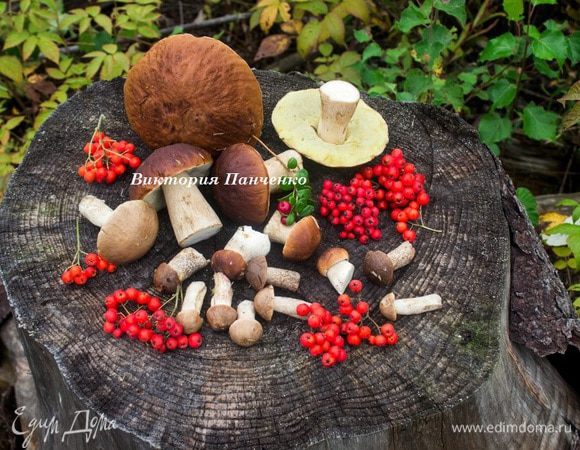 Тихая охота удалась))) Белые пошли на маринад, а подберезовики и подосиновики - в пирог)))