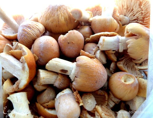 Лесные шампиньоны очищаем,промываем,просушиваем.