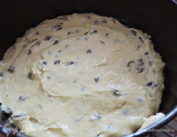 ...промытый и высушенный изюм.
Выпекаем наши коржи в разогретой до 180 градусов духовке примерно 15 минут. Готовность проверяем спичкой, зубочисткой и т.д. Из готового коржа они выходят сухими. Не пересушите. Коржи пекутся быстро.