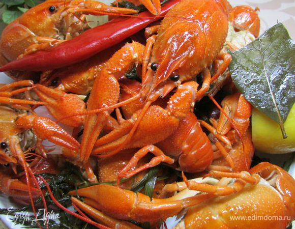 После того как раки сварятся, дать им постоять 10-15 минут. Вареных раков можно подавать как горячими, так и холодными.
Приятного аппетита! 