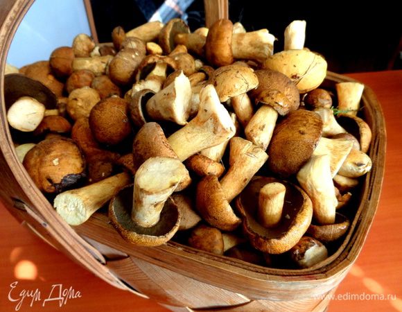 Идём в лес,собираем грибы,приносим домой))) На этот раз сын принёс из леса моховички.