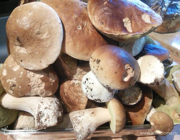 Грибы для маринования следует брать молодые, крепкие и без малейшей червивости. Грибы очистить, взвесить,  аккуратно промыть под холодной водой, выложить на сито, чтобы стекла лишняя вода, затем,  если они различаются по размеру,  разрезать на кусочки. 