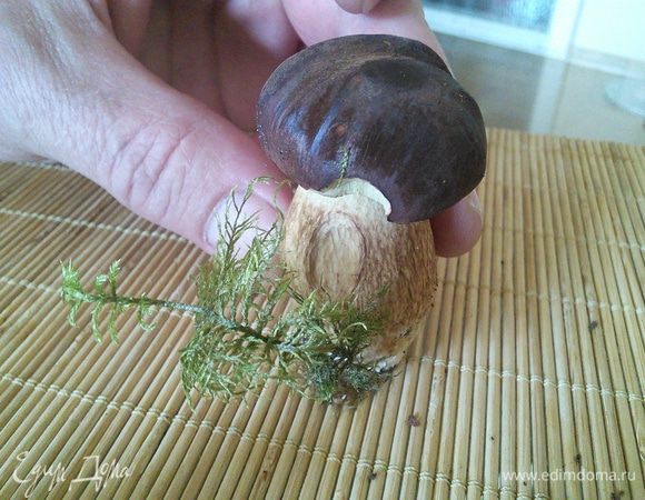С моховиками процесс идентичен, рассол получается темнее и это нормально. Приятного аппетита! 