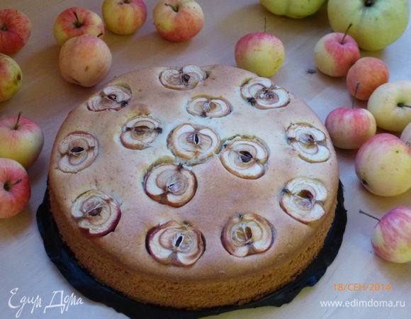 Выпекаем в духовке при 180 гр 50-60 минут до сухой лучинки.