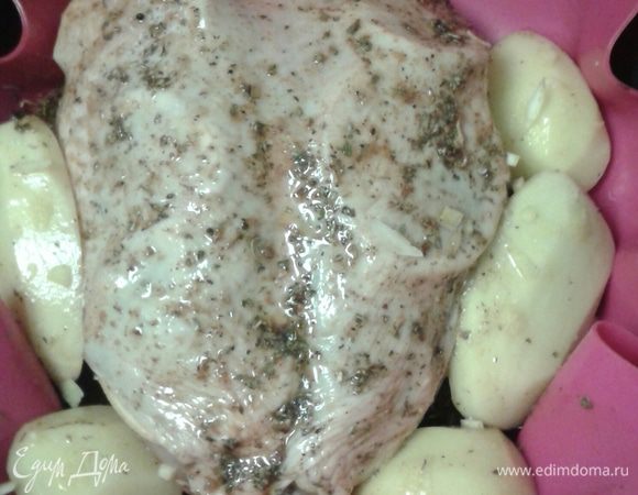 Картофель почистить разрезать пополам, посолить. Далее выкладываем курочку на противень, рядом кладем картофель, который взбрызгиваем растительным маслом, а так же можно посыпать сухими травами и добавить цедру лимона. Запекаем в духовке при 200 градусах, сначала накрыть фольгой и запекать минут 30, далее фольгу убрать и оставить в духовке еще  минут на 15-20. Во время запекания, периодически  курочку сверху нужно полить образовавшимся соком.  