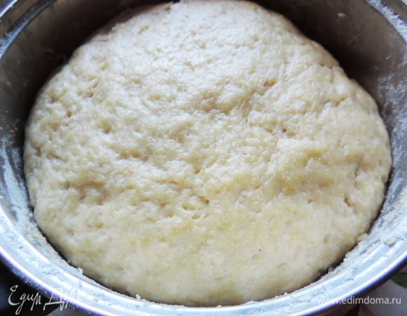 Из всех указанных ингредиентов замешиваем мягкое, слегка липковатое тесто. Придаем ему форму шара, кладем в мисочку (учитывайте, что оно подрастет), накрываем чистым сухим полотенцем и оставляем на ночь при комнатной температуре.
На фото тесто уже утром, вечером забыла его сфотографировать)