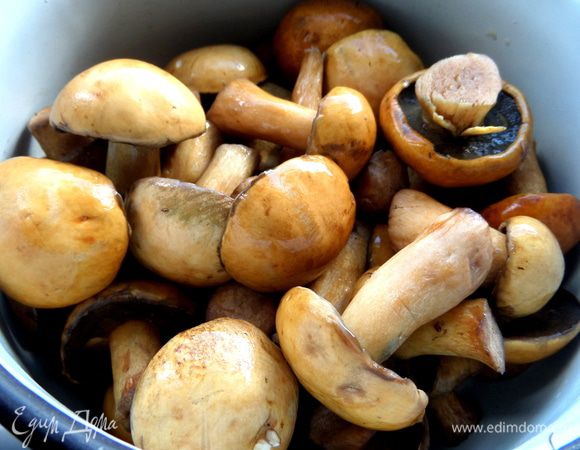 Моховики или др. грибы заранее чистим,моем.