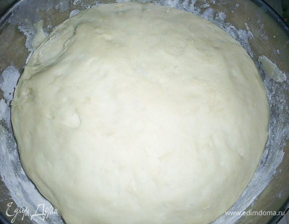 Дрожжи высыпаем в емкость с мукой, солью и сахаром, туда же вливаем теплое молоко и начинаем замешивать тесто. Добавляем слегка взбитое вилкой яйцо и растительное масло. Если тесто получается жидковатым и сильно липнет к рукам, можно добавить еще немного муки. 
Полученное тесто можно поставить в теплое место, чтоб оно подошло, а можно сразу начинать лепить пирожки. Исходя из моего опыта, на конечный результат это не влияет, а на скорость приготовления - да. На фото тесто после расстойки (примерно 45 минут).