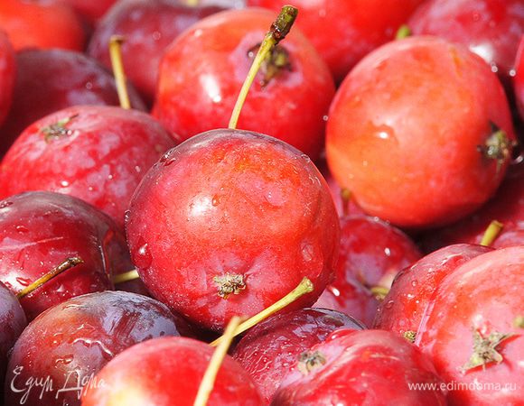 Переберите яблоки, они не должны быть червивые и гнилые. Каждую из них необходимо наколоть. зубочисткой в нескольких местах.