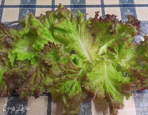 Начинаем собирать наш салат. Салат россо помыть, высушить бумажными полотенцами и выложить на дно блюда. 