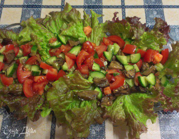 Сверху распределить смесь из огурца, помидоров и баклажана.