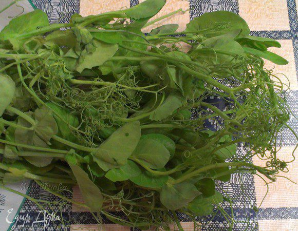 Побеги зеленого горошка очень хорошо сочетаются с любыми блюдами из рыбы, а также подходят для салатов из овощей.