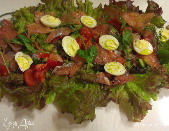 Посолить, поперчить по вкусу и полить салат оливковым маслом и маслом из авокадо.

