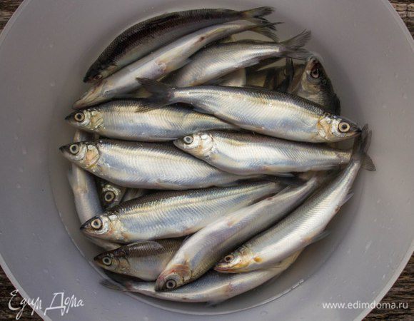 Внешне ряпушка напоминает мелкую сельдь. 
Рыбу хорошо промыть в большом количестве воды.