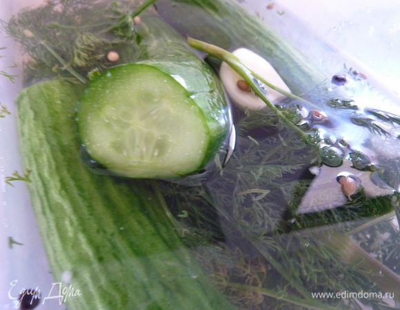 Рекомендую огурчики - Малосольные огурчики в минеральной воде 
от Елены - http://www.edimdoma.ru/retsepty/66807-malosolnye-ogurchiki-v-mineralnoy-vode 

Очень вкусно !!! 