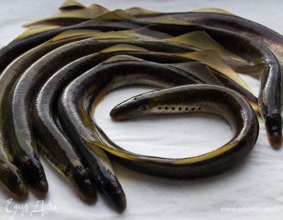 Миноги собственной персоной))) 
Тело миног покрыто слизью. Для того, чтобы от нее избавиться, нужно хорошо промыть миног под проточной водой, затем  сложить  в глубокую миску и обильно засыпать солью. Оставить на 30 минут. 