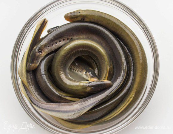 Одеть резиновые перчатки (очень рекомендую) и при помощи соли убрать с миног слизь. Для этого зажать голову между большим и указательным пальцами одной руки, а другой рукой с солью провести вдоль всего тела миноги. Затем смыть соль водой. У миног нет желудка, соответственно удалять внутренности не надо. Их просто нет...